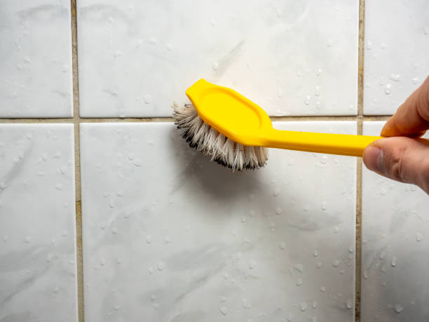 Best Water Damage Restoration  in Darmstadt, IN