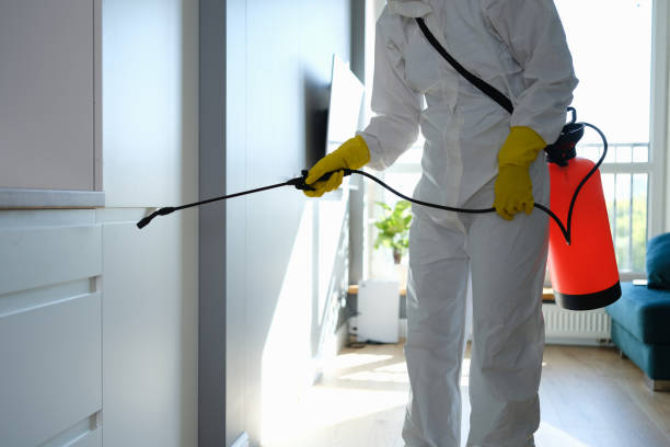 Best Toxic Mold Removal  in Darmstadt, IN