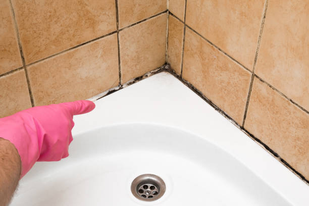 Best Mold Testing  in Darmstadt, IN